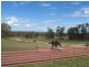 1601 Cope Road, Mudgee NSW 2850