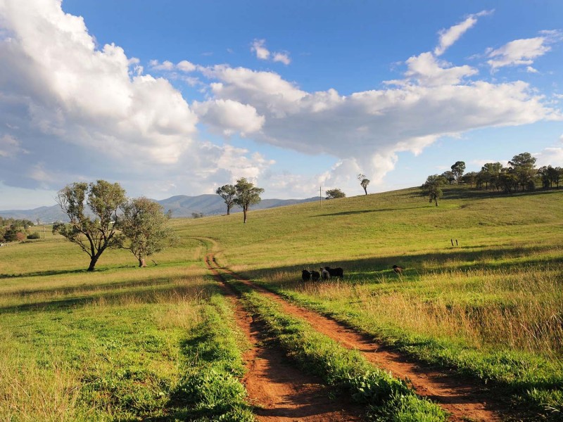 76 Crossings Road, Mudgee NSW 2850