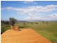76 Crossings Road, Mudgee NSW 2850