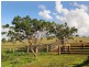 76 Crossings Road, Mudgee NSW 2850