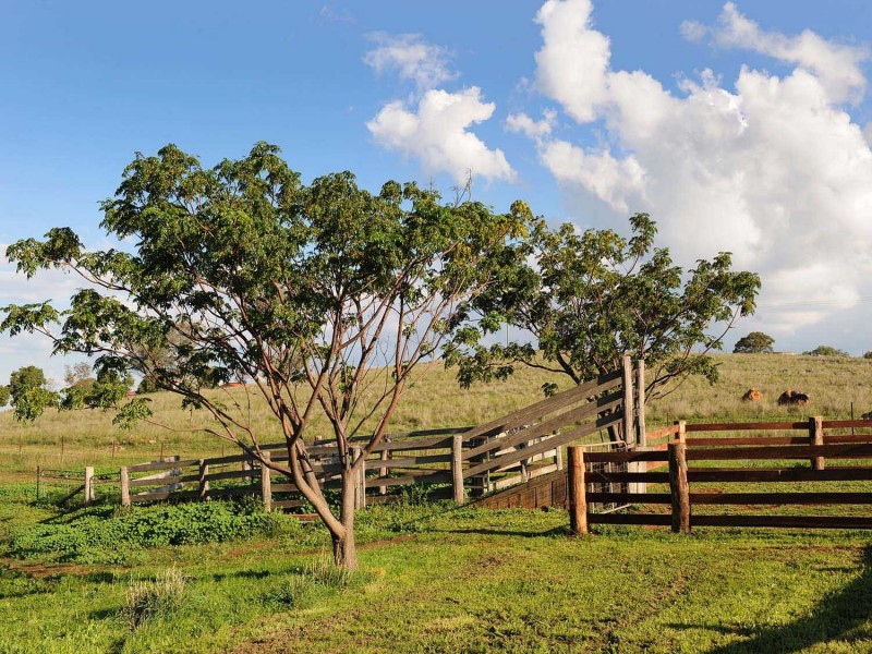 76 Crossings Road, Mudgee NSW 2850