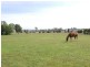 18 Marshfield Lane, Mudgee NSW 2850