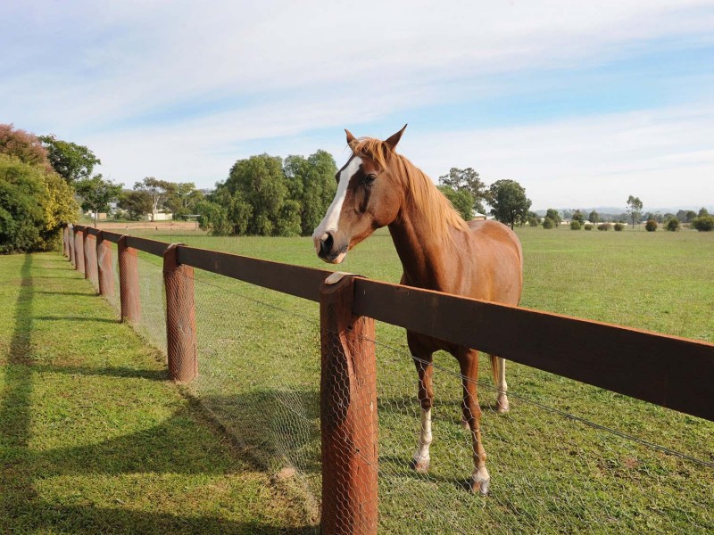 18 Marshfield Lane, Mudgee NSW 2850