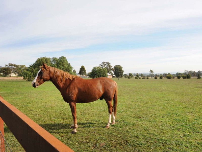 18 Marshfield Lane, Mudgee NSW 2850