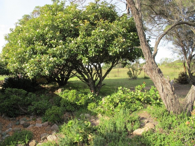 763 Ridge Road, Mudgee NSW 2850