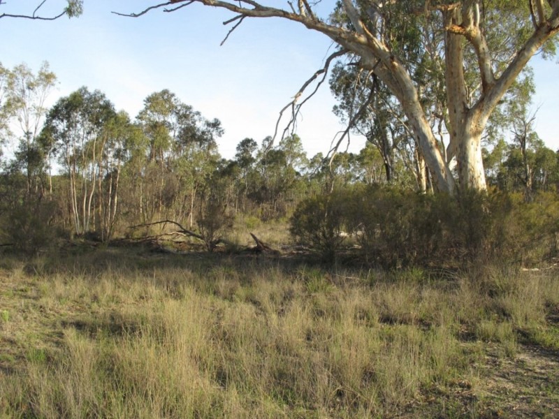 623 Cope Road, Mudgee NSW 2850