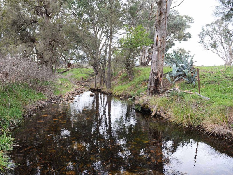 1719 Hill End Road, Mudgee NSW 2850