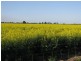 2764 McGrane Way, Narromine NSW 2821