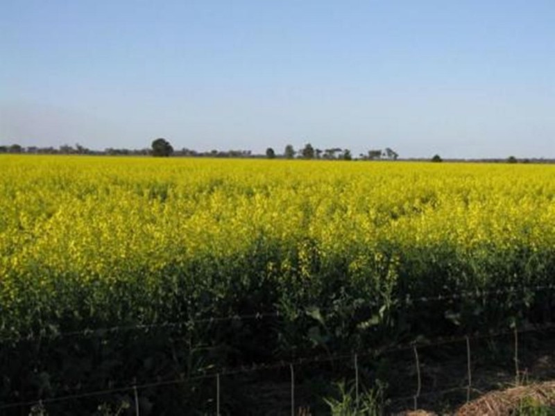2764 McGrane Way, Narromine NSW 2821