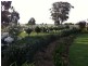 2764 McGrane Way, Narromine NSW 2821