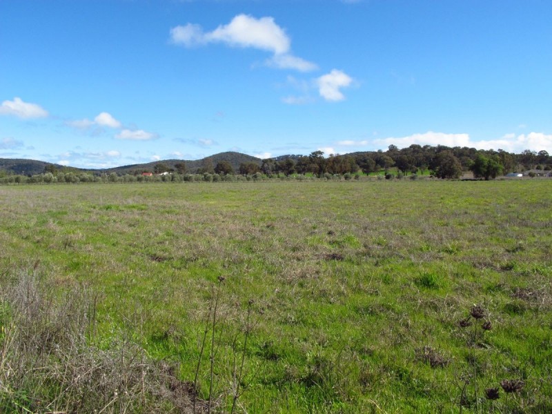 Lot 1 Wollar Road, Mudgee NSW 2850