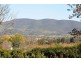 Part Lot 101 160 Ulan Road, Mudgee NSW 2850