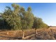 301 Stoney Creek Road, Mudgee NSW 2850