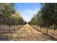 301 Stoney Creek Road, Mudgee NSW 2850