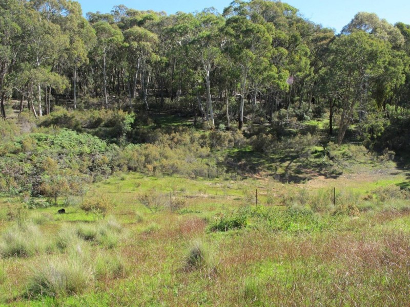 48 Research Road, Mudgee NSW 2850