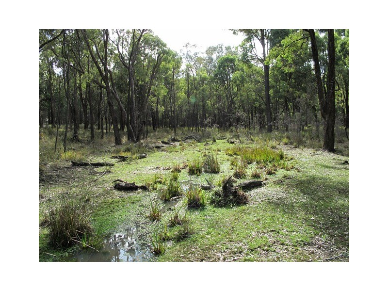 529 Ridge Road, Mudgee NSW 2850