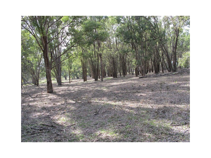 529 Ridge Road, Mudgee NSW 2850