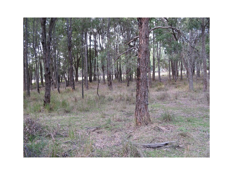 529 Ridge Road, Mudgee NSW 2850