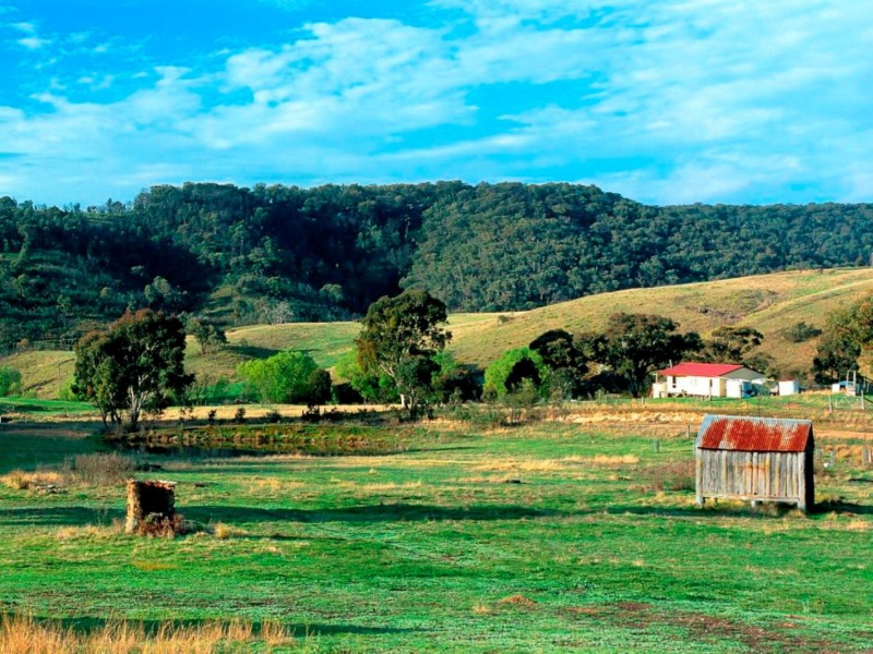 650 Green Gully Road, Mudgee NSW 2850