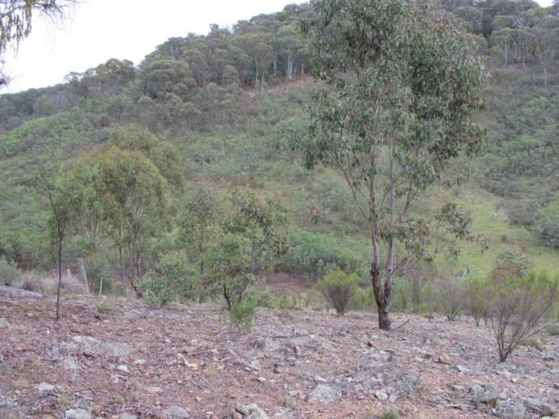 650 Green Gully Road, Mudgee NSW 2850