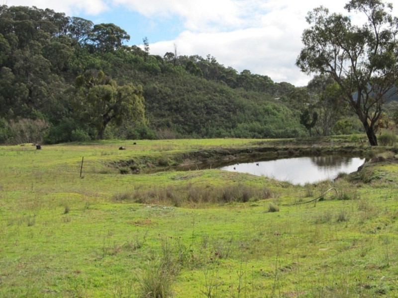 650 Green Gully Road, Mudgee NSW 2850