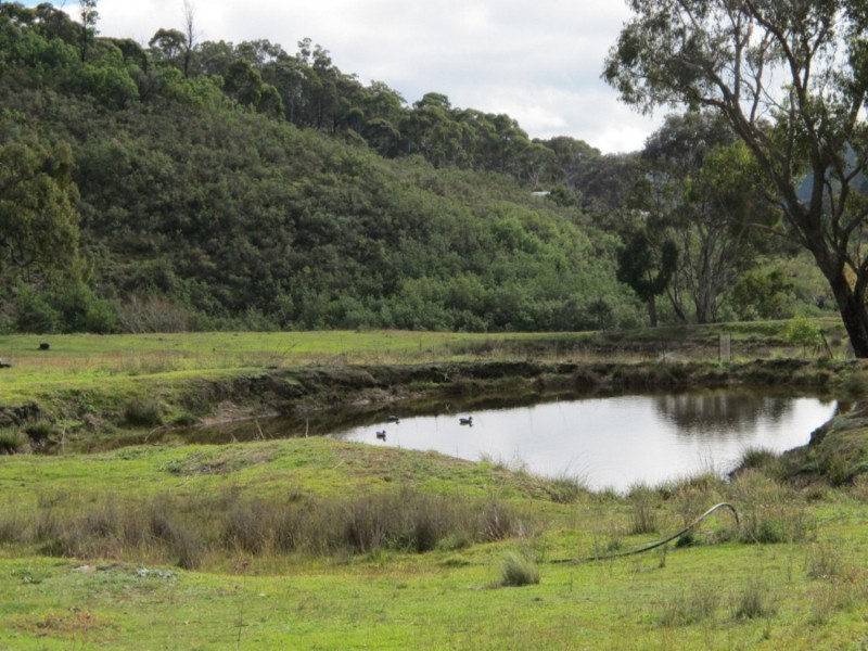 650 Green Gully Road, Mudgee NSW 2850