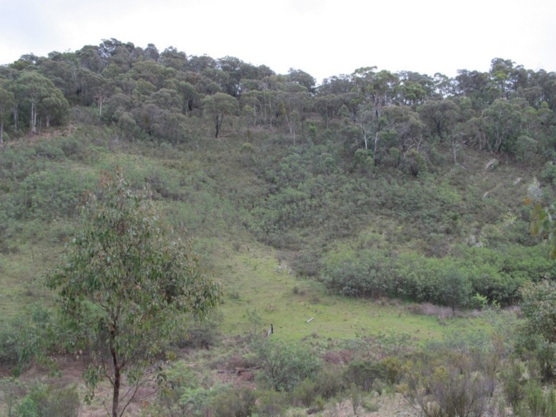 650 Green Gully Road, Mudgee NSW 2850