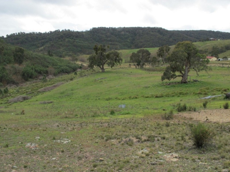 650 Green Gully Road, Mudgee NSW 2850