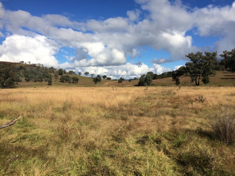 65 Guroba Road, Mudgee NSW 2850