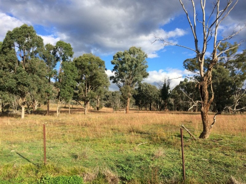 65 Guroba Road, Mudgee NSW 2850