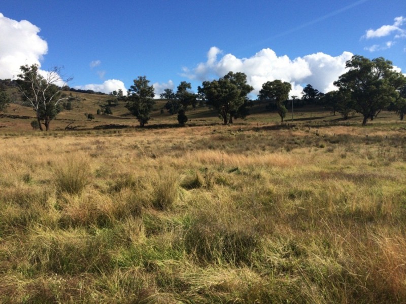 65 Guroba Road, Mudgee NSW 2850