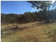 65 Guroba Road, Mudgee NSW 2850
