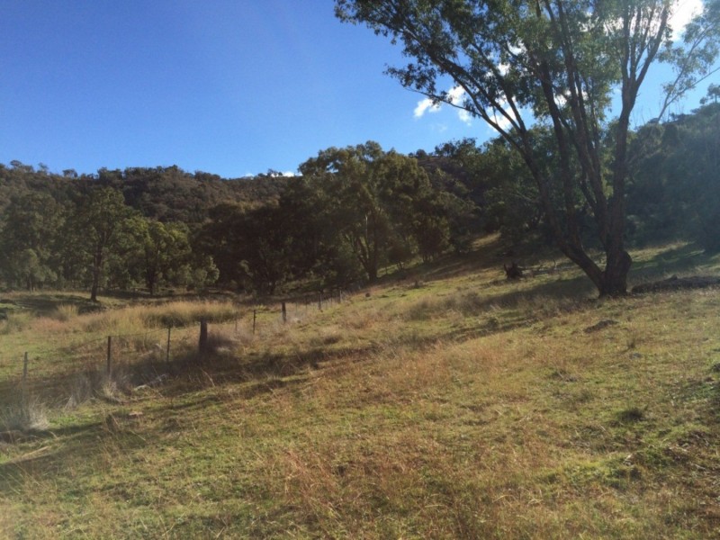 65 Guroba Road, Mudgee NSW 2850