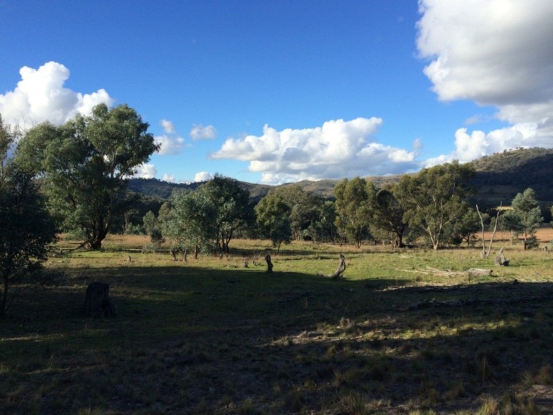 65 Guroba Road, Mudgee NSW 2850