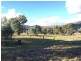 65 Guroba Road, Mudgee NSW 2850