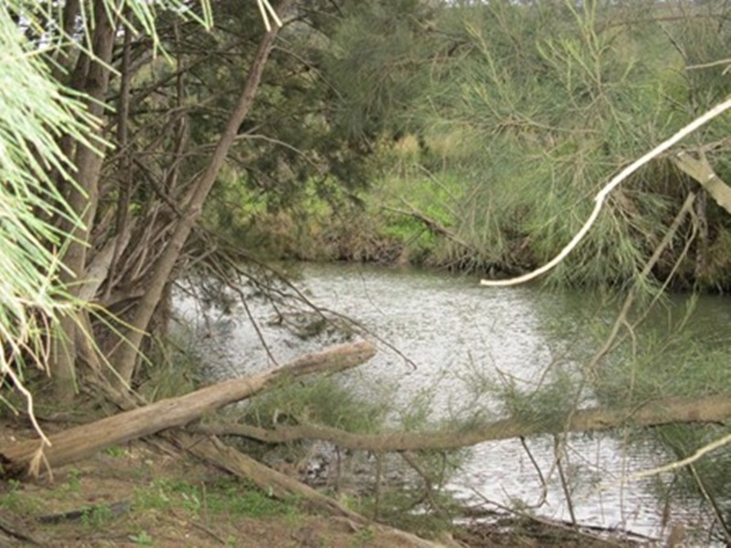 407 Maitland Bar Road, Mudgee NSW 2850