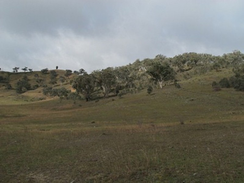 407 Maitland Bar Road, Mudgee NSW 2850