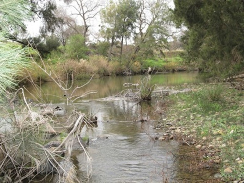 407 Maitland Bar Road, Mudgee NSW 2850