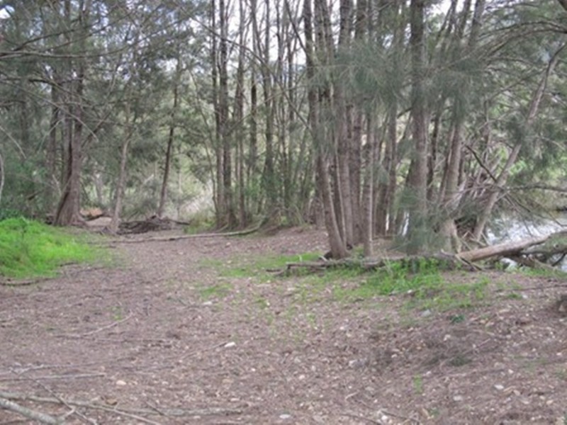 407 Maitland Bar Road, Mudgee NSW 2850