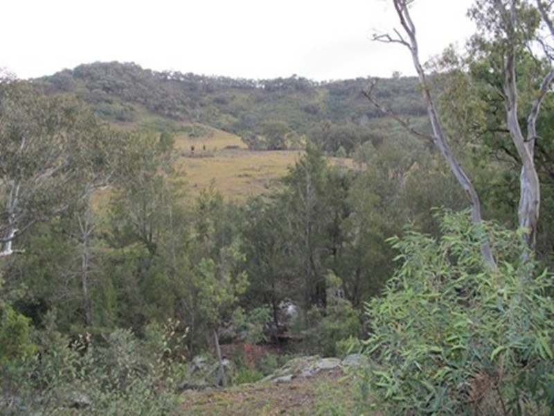 407 Maitland Bar Road, Mudgee NSW 2850