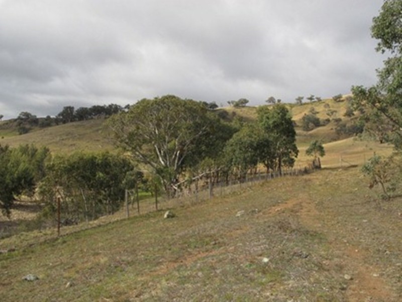 407 Maitland Bar Road, Mudgee NSW 2850