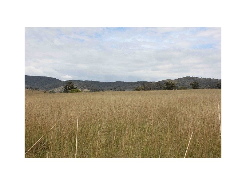Caerleon Estate, Mudgee NSW 2850