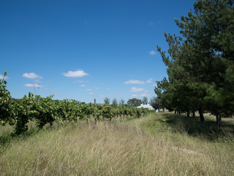 1807 Ulan Road, Mudgee NSW 2850