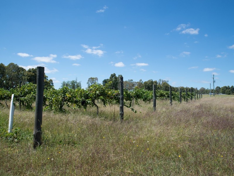 1807 Ulan Road, Mudgee NSW 2850