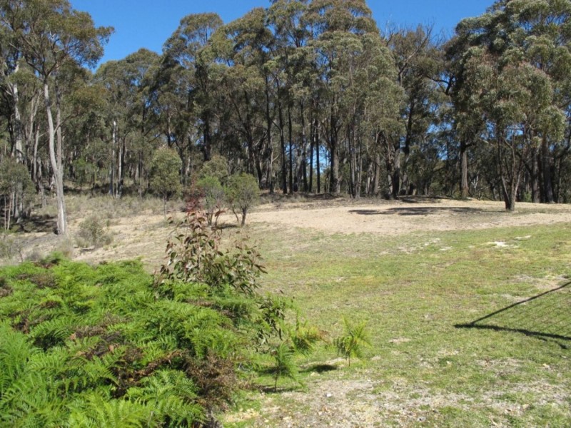 128 Triangle Swamp Road, Mudgee NSW 2850