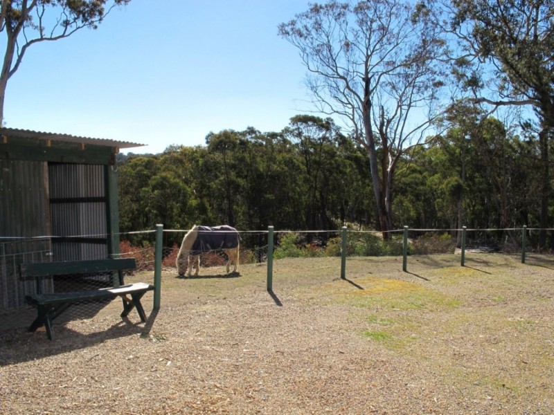 128 Triangle Swamp Road, Mudgee NSW 2850