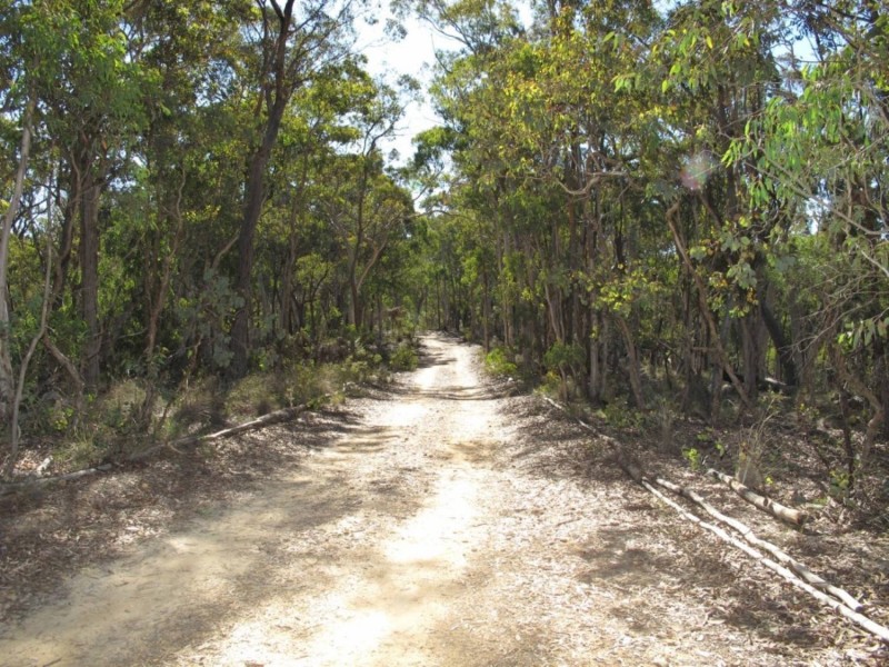 128 Triangle Swamp Road, Mudgee NSW 2850