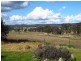 915 Blue Springs Road, Gulgong NSW 2852
