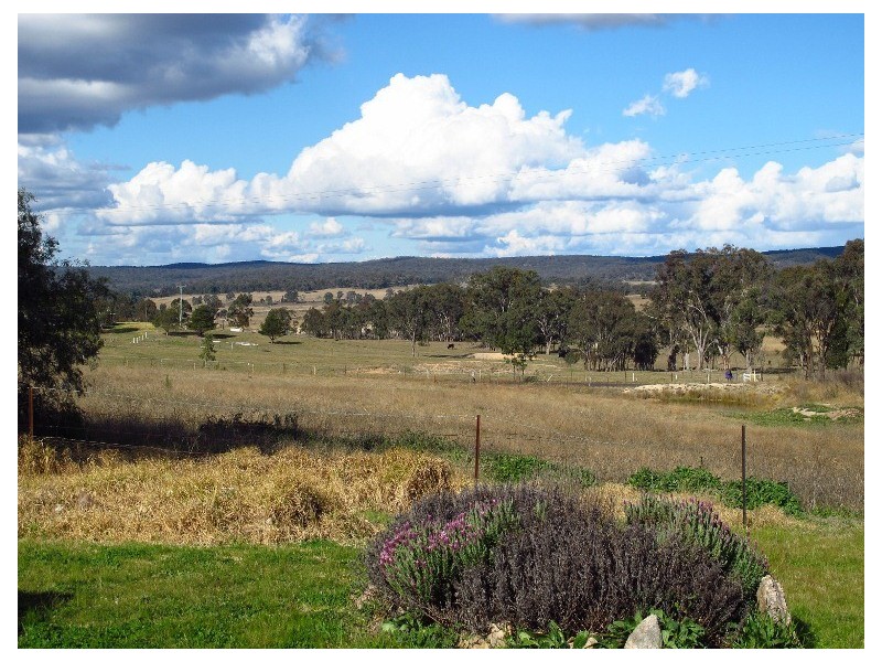 915 Blue Springs Road, Gulgong NSW 2852