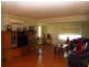 915 Blue Springs Road, Gulgong NSW 2852